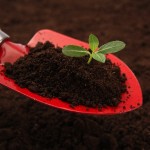 肥料の知識